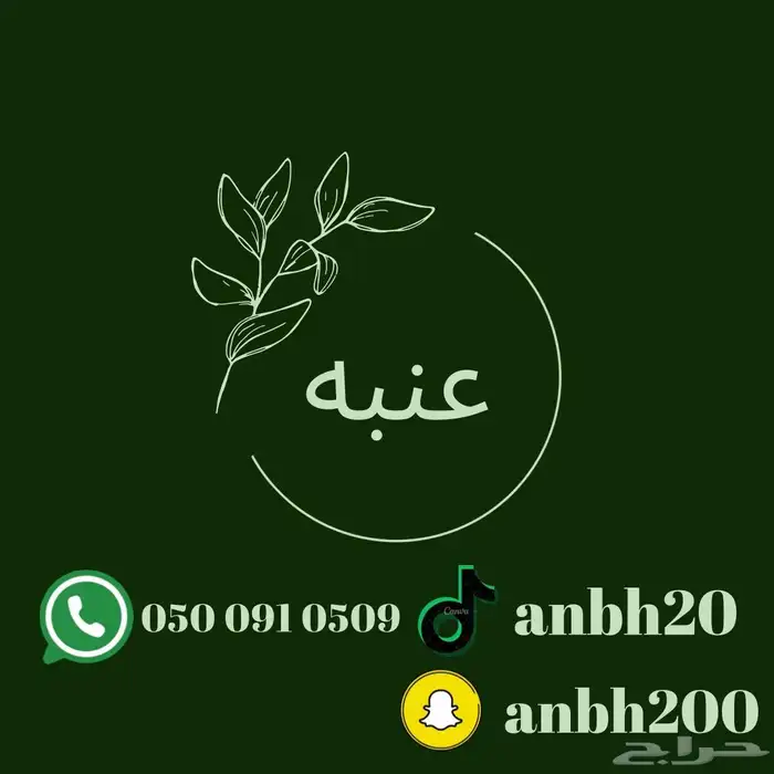 ورق عنب عنبه 7