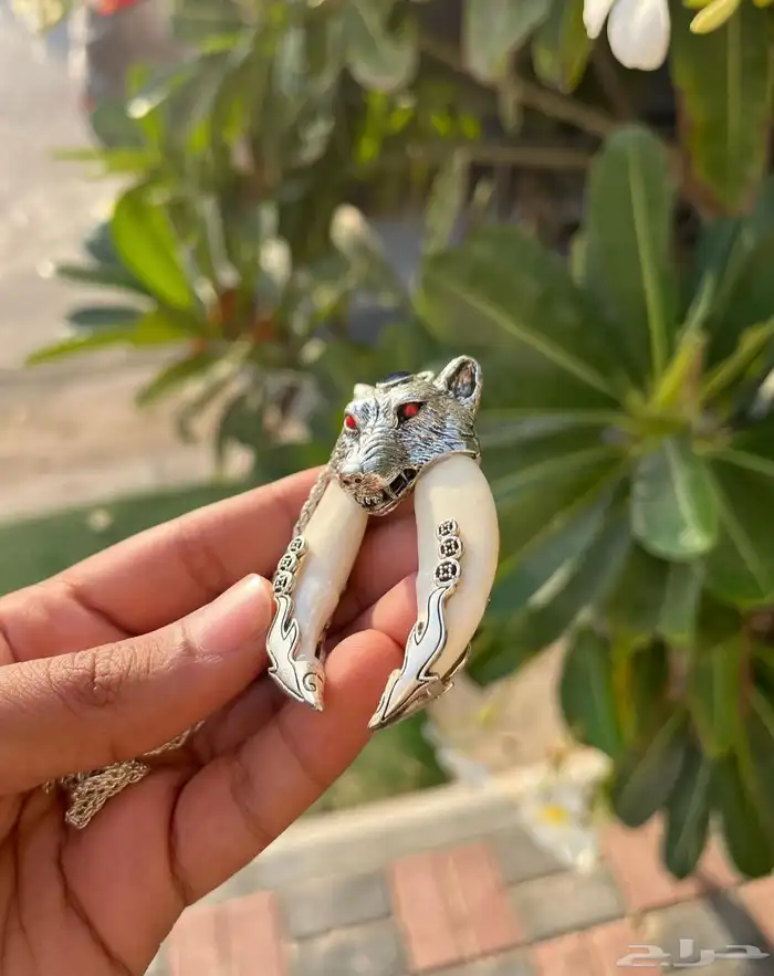 ناب ذئب 1