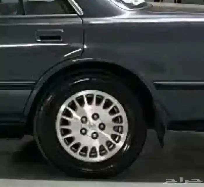 غطيان جنوط كرسيدا 1