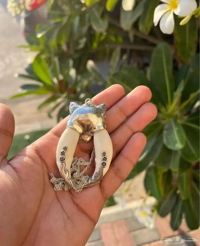 ناب ذئب 2