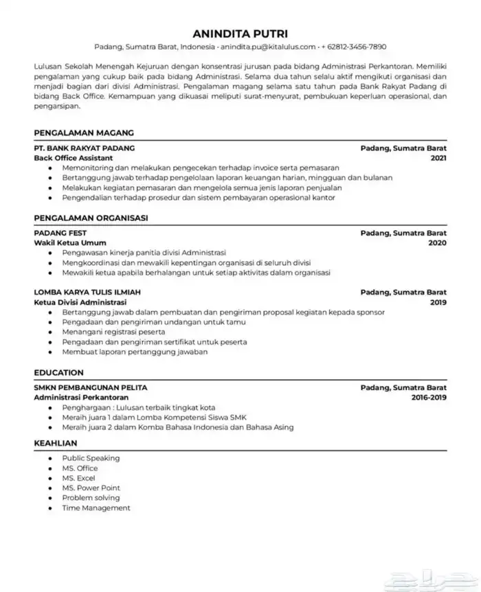 اسويلك CV احترافي وبسعر مميز ATS وغيره 3