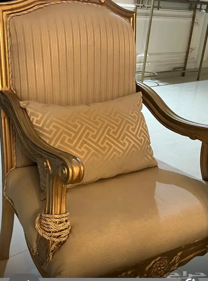 كنب 11 نفر مع أريكه ودرج جزم وغساله 18 كيلو 3