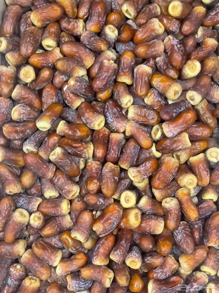 تمر برني للبيع 1