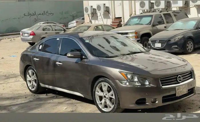 مكسيما 2014 0
