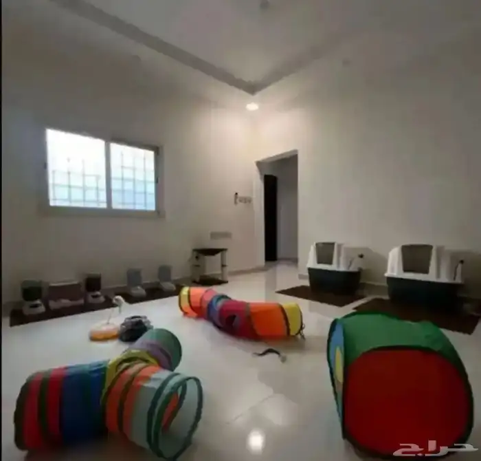 فندقه قطط 3