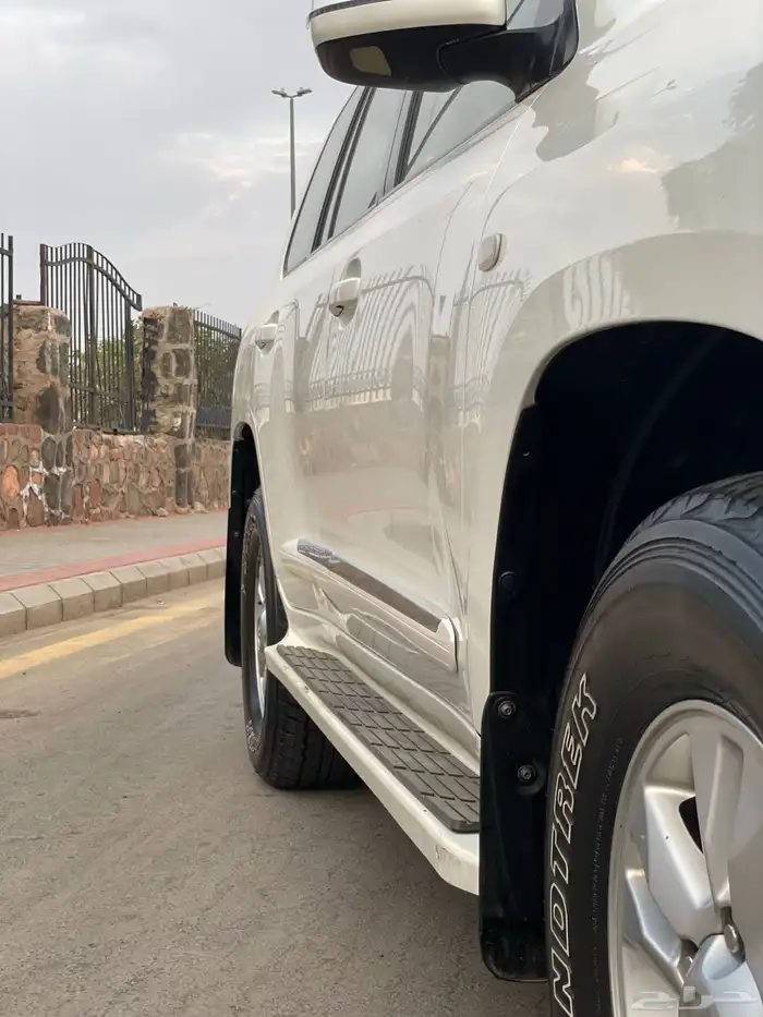 تم البيع 17