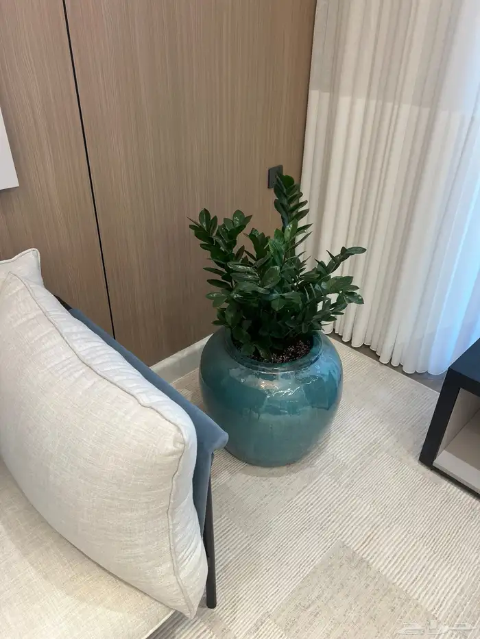 أعمال زراعة وصيانة للبيوت والمشاريع التجارية 24