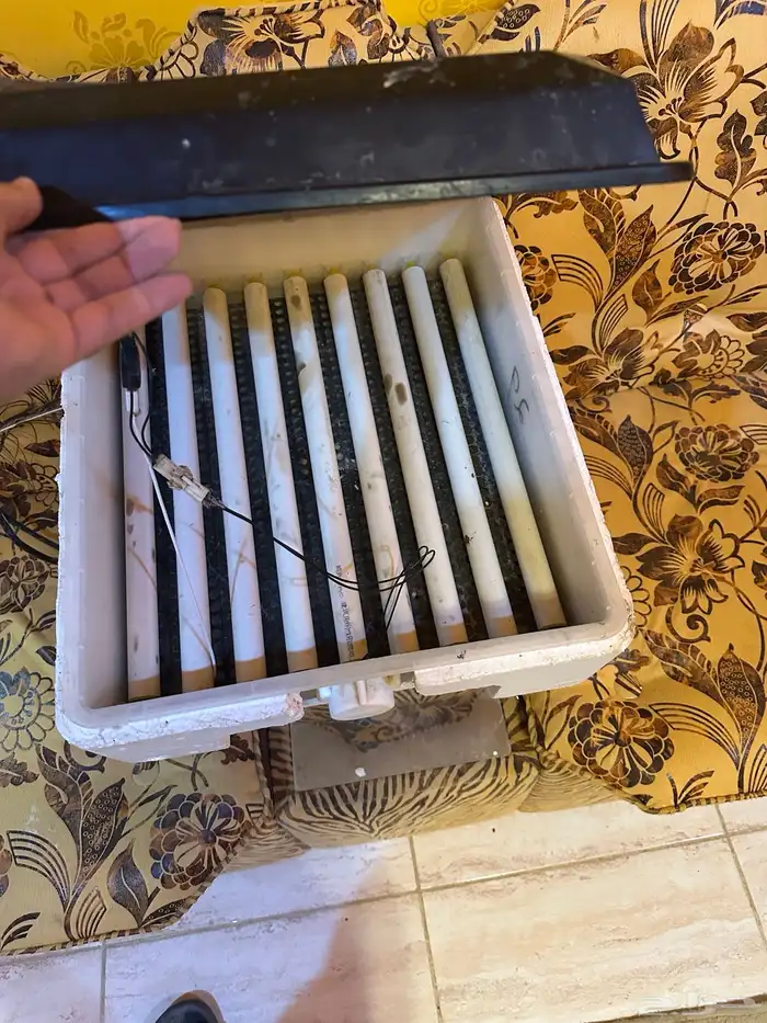 فقاسة تماتيك 64 بيضه الشفق الاحمر 2