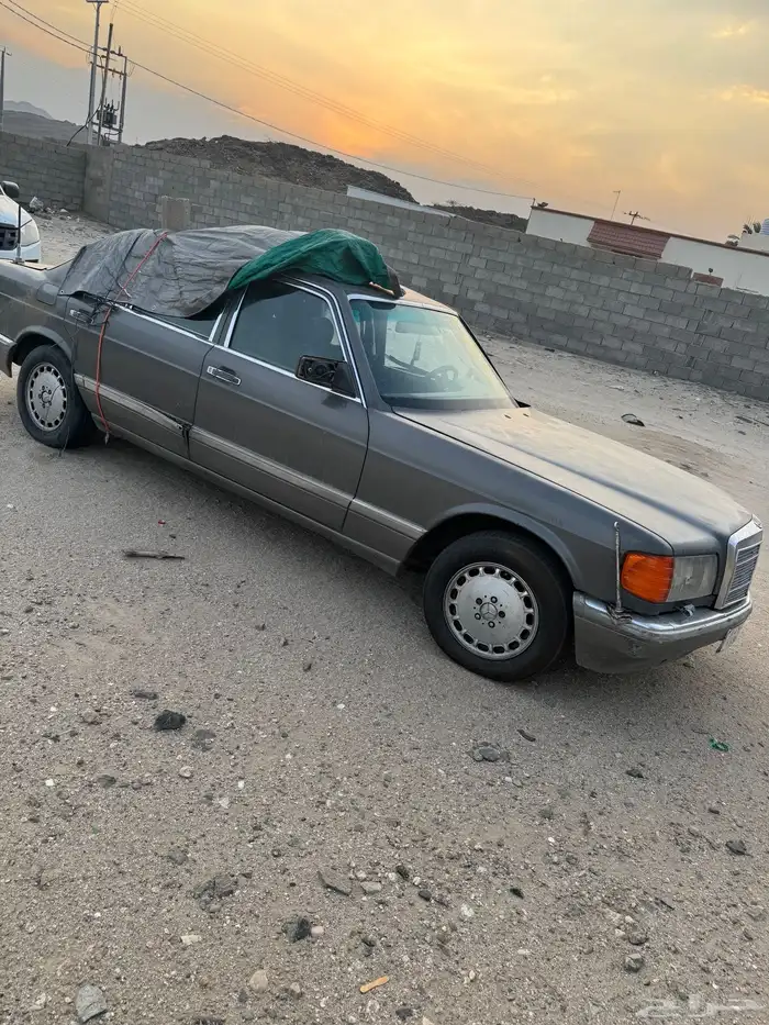 بيشه ترج 3