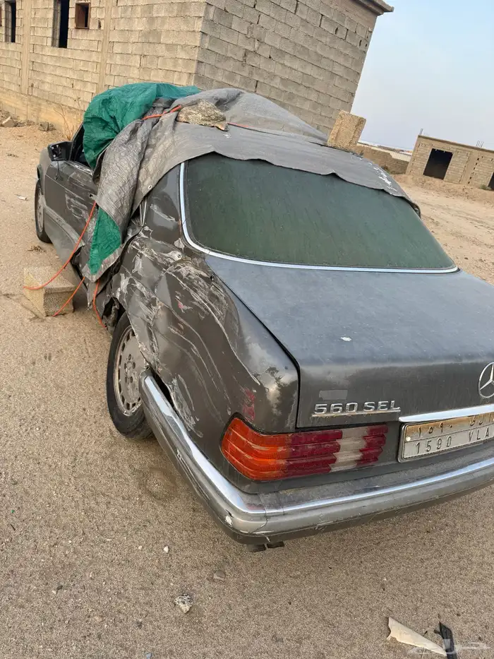 بيشه ترج 1