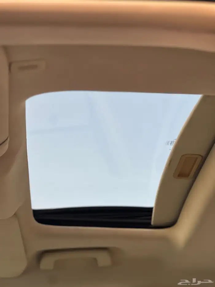 تم البيع تم البيع 16