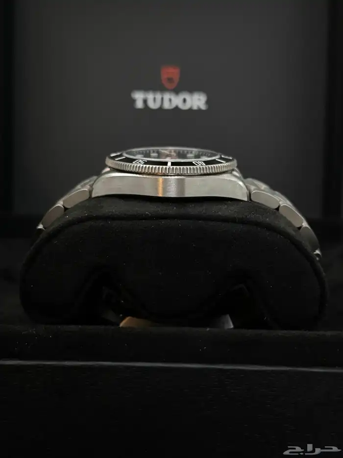 تيدور ( Tudor pelagos ) 5