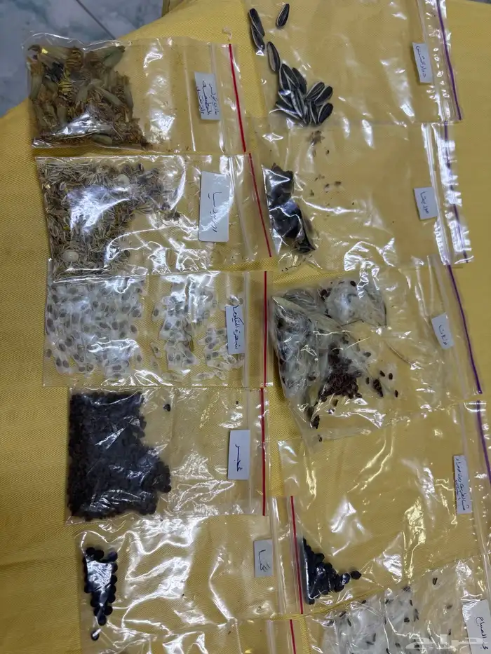 بذور موسميه للورود والاشجار 1