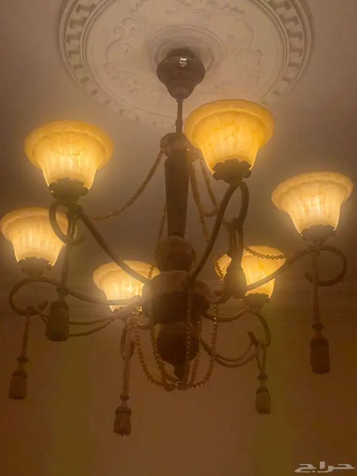 نجف بوضع ممتاز 1