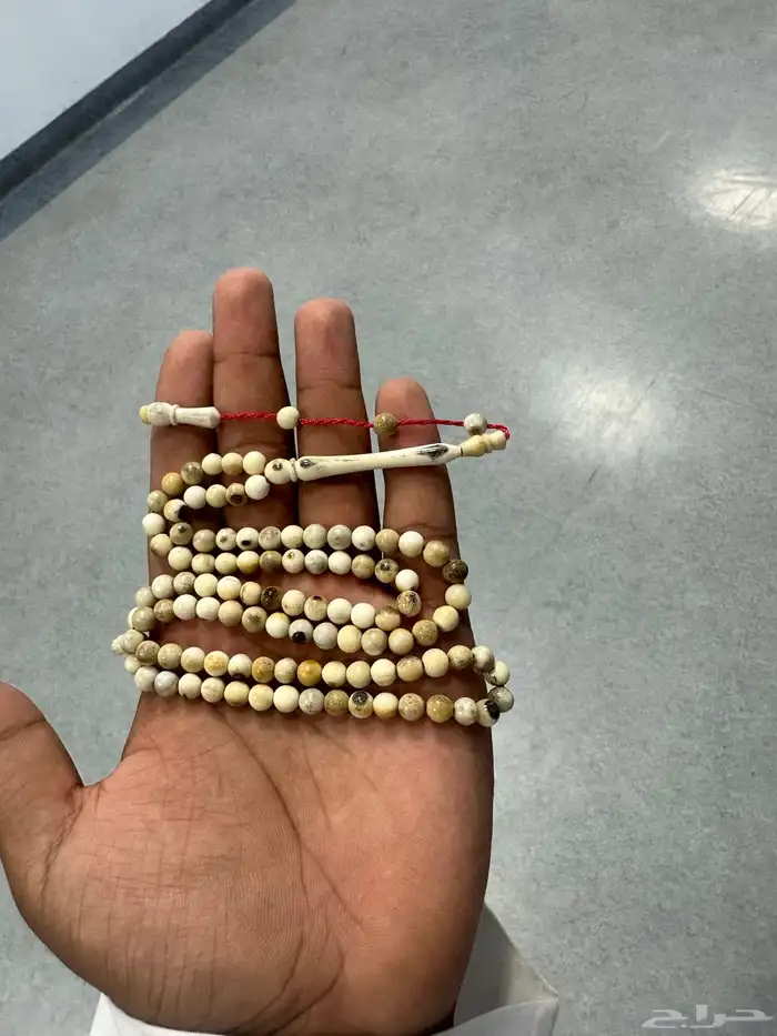 مسباح قرن غزال وادي الدواسر 0