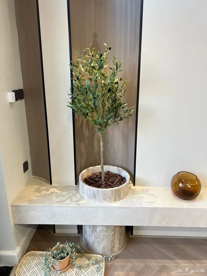 أعمال زراعة وصيانة للبيوت والمشاريع التجارية 30