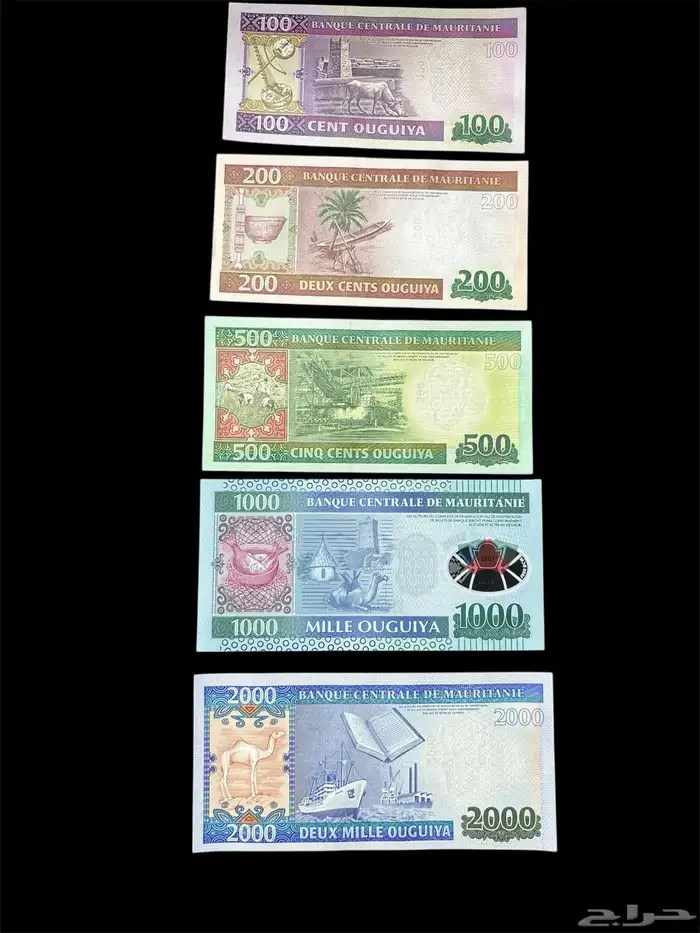 عملات ورقية للهواة والمحترفين والمتاحف والمقاهي الشعبية 2 8