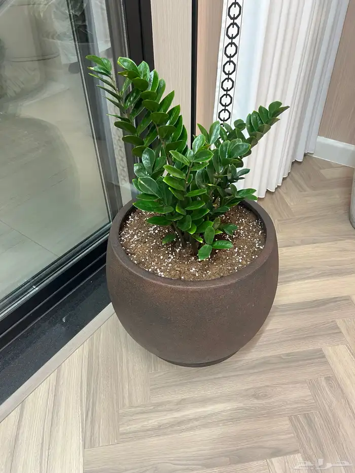 أعمال زراعة وصيانة للبيوت والمشاريع التجارية 21