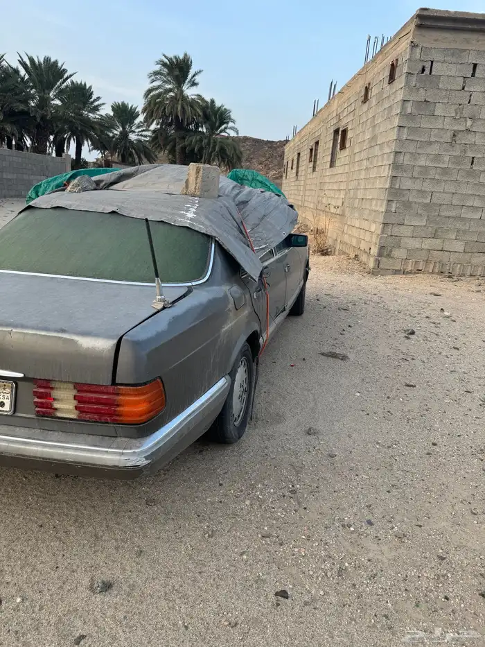 بيشه ترج 6