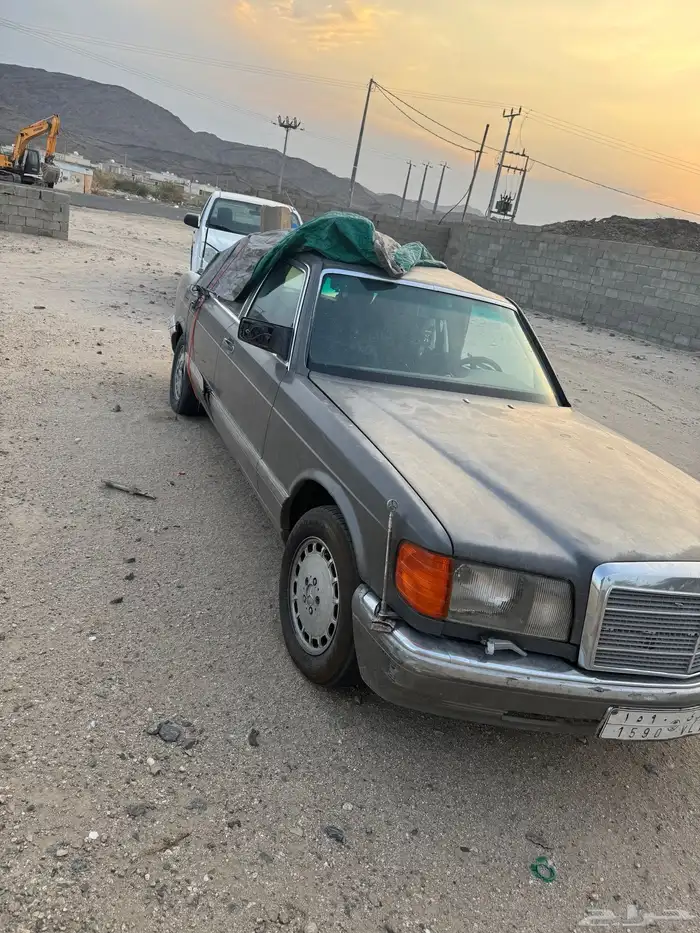 بيشه ترج 4