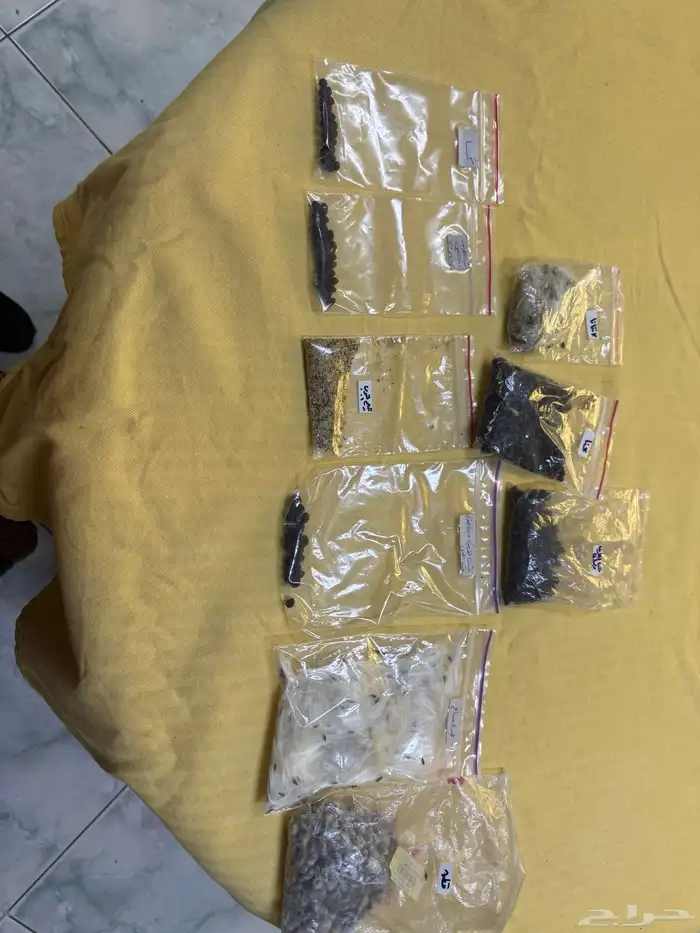 بذور موسميه للورود والاشجار 3