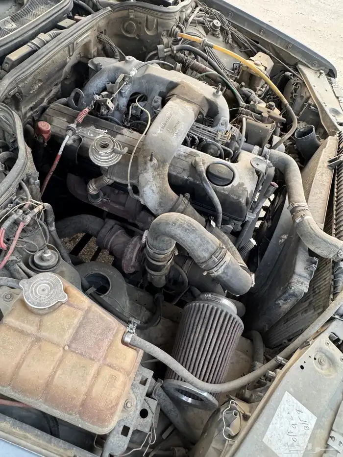 بيشه ترج 11