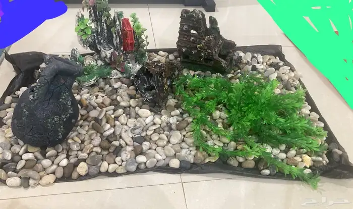 اغراض حوض سمك كامله 0