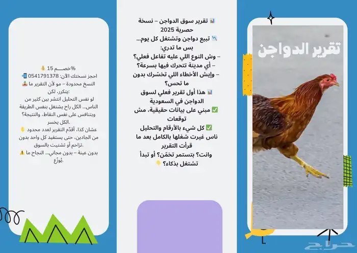 تقرير مشروع الدواجن 0