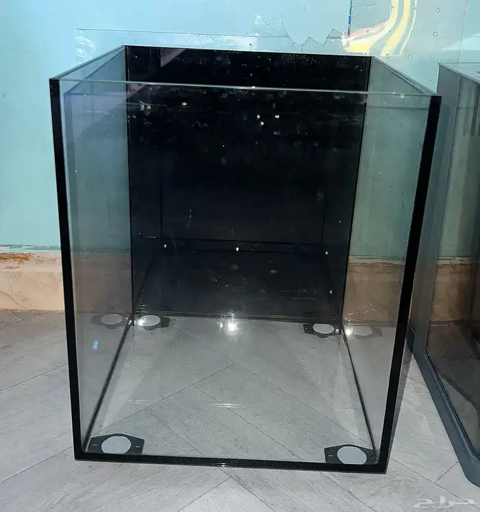 احواض سمك الزينة نظيفة 5