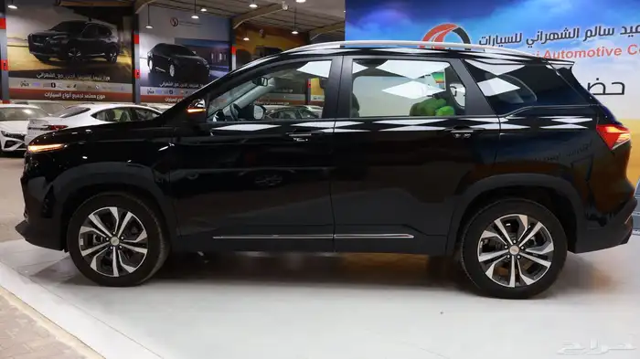 كابتيفا بريمير 2025 10