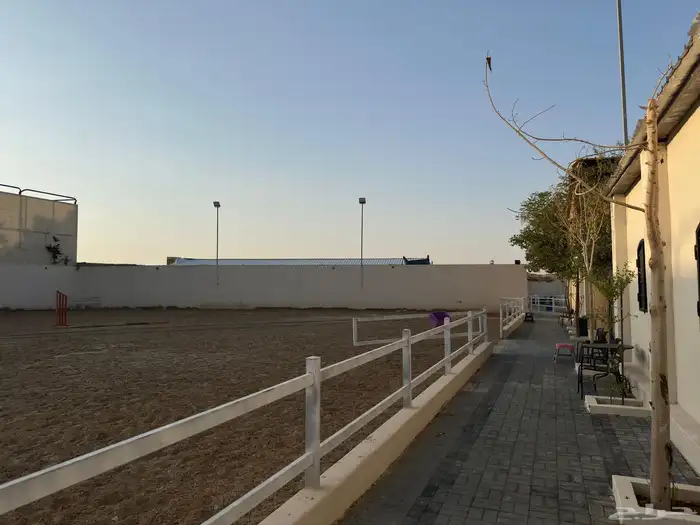 ايواء وتدريب وركوب خيل بالعمارية 1
