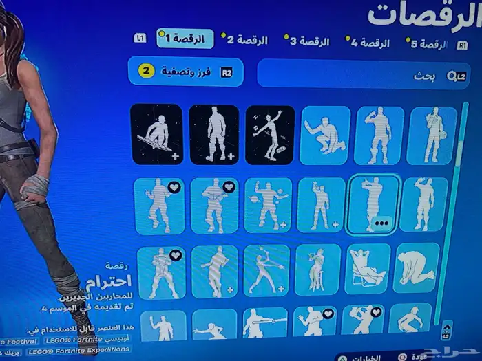 حساب فورت نايت نادر 344 سكن 19