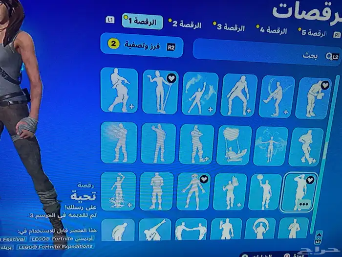 حساب فورت نايت نادر 344 سكن 23