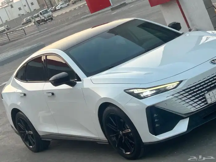 شنجان يوني في المميزه 2025 تحت الظمان 6 سنوات 0