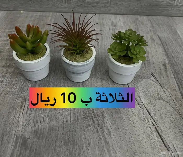 ورد صناعي وزرع صناعي من ايكيا للبيع 0