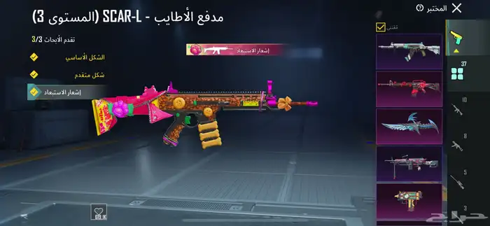 حساب ببجي للبيع لفل81 17