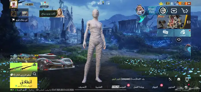 حساب ببجي للبيع لفل81 0