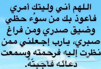 شيول اعمال النظافه 0