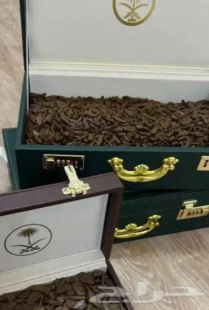 العود الملكي تبوك 6