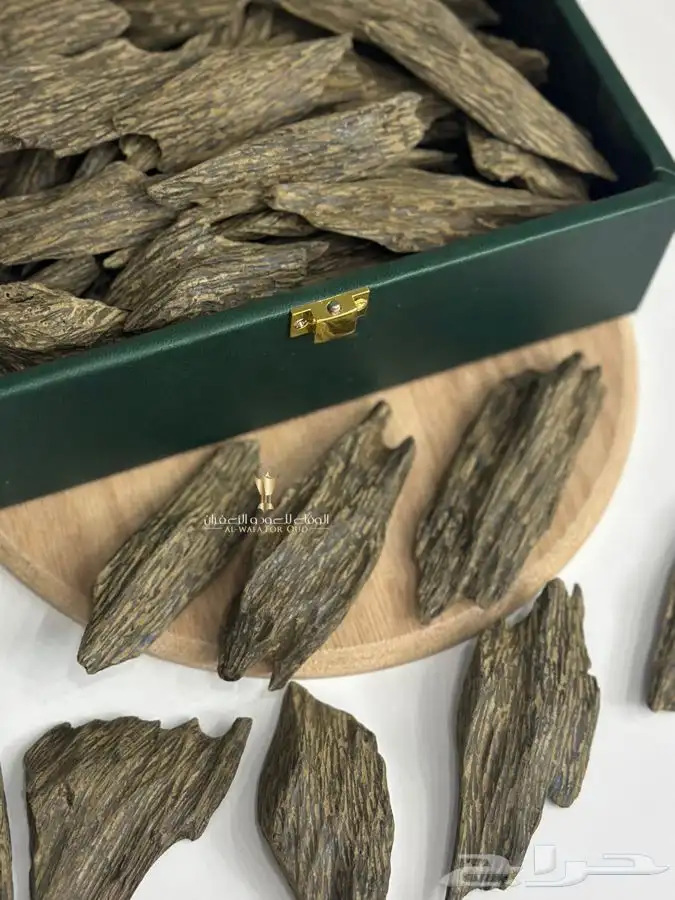 كلمنتان العود الأزرق بياض وجه وعلى الشرط 0
