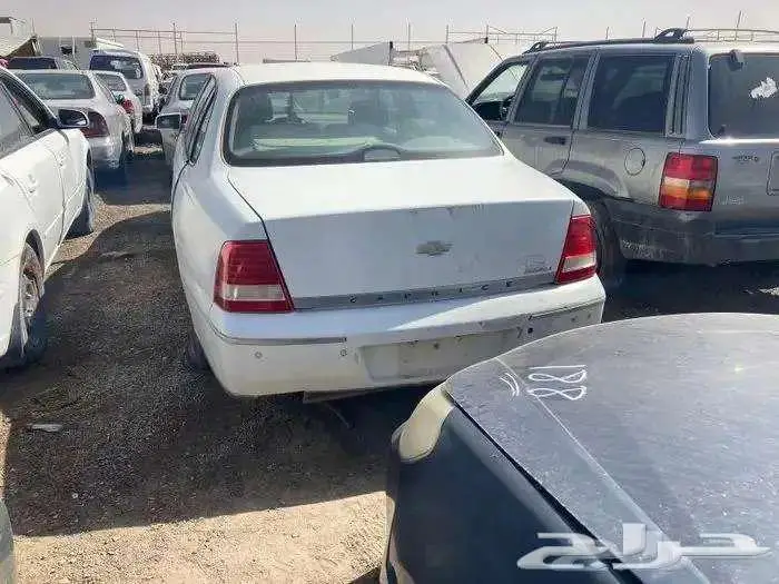 كابرس قطع Ss ورويال والتي زد 38