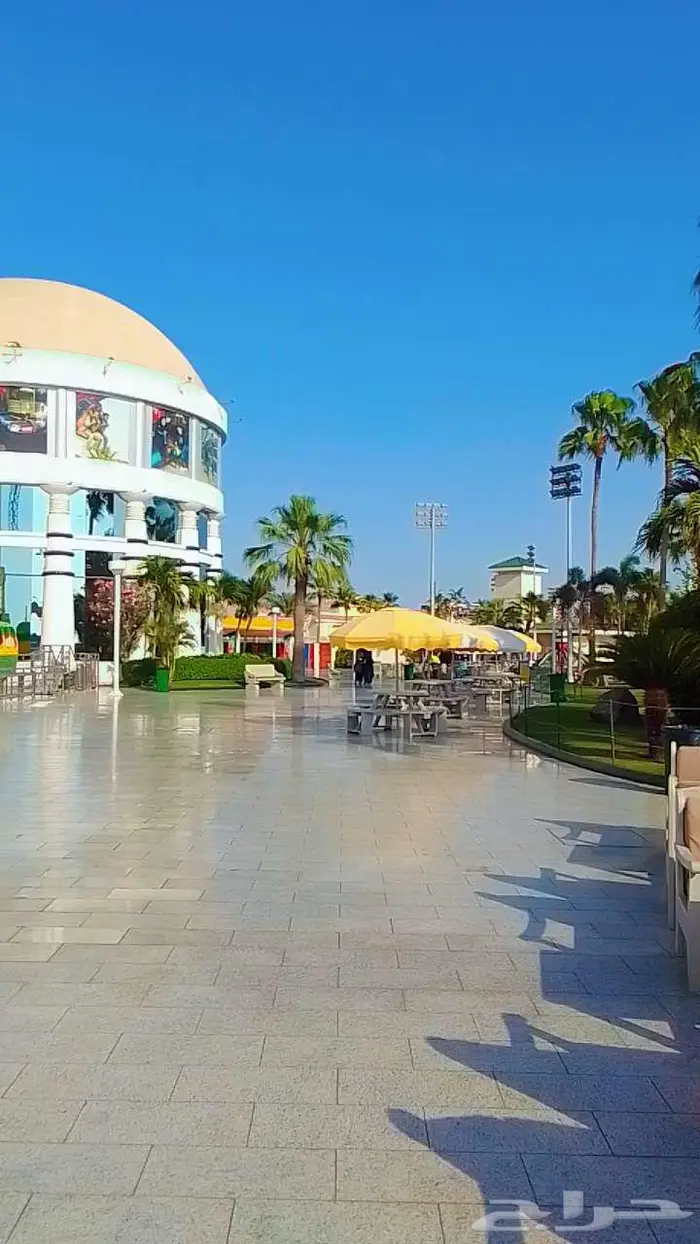 مطلوب شريك اجنبي 2