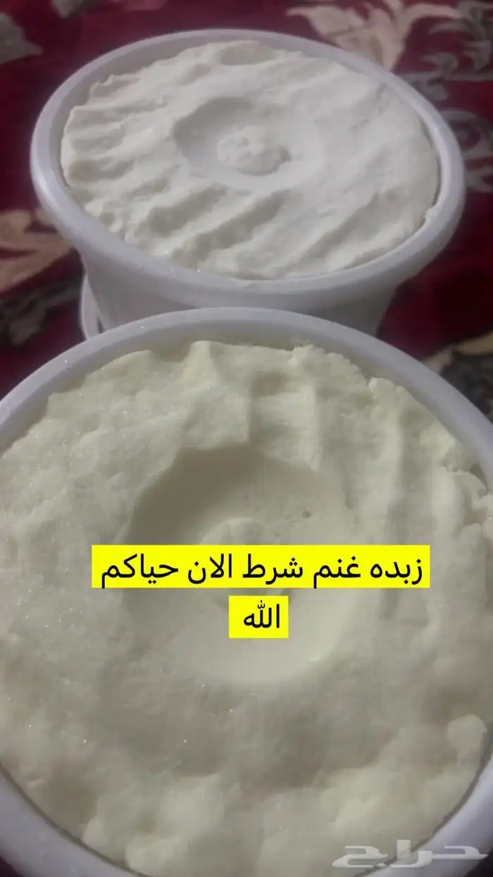 منتجات اجبان اللبان 11