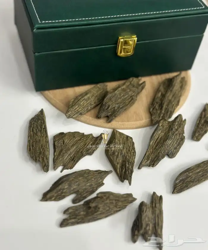 كلمنتان العود الأزرق بياض وجه وعلى الشرط 2