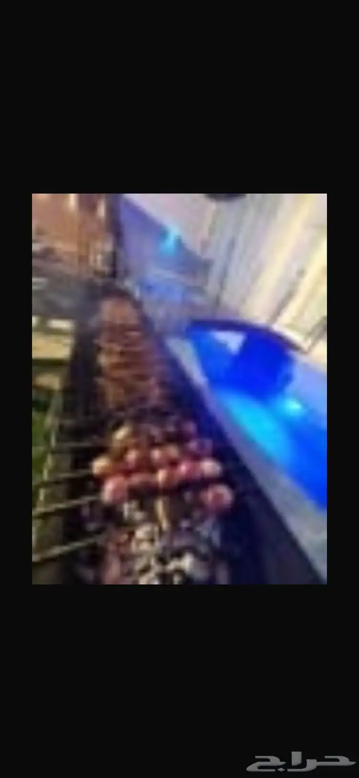شوي ذبايح 3