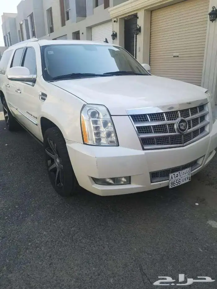 كلاديك اسكاليد 8