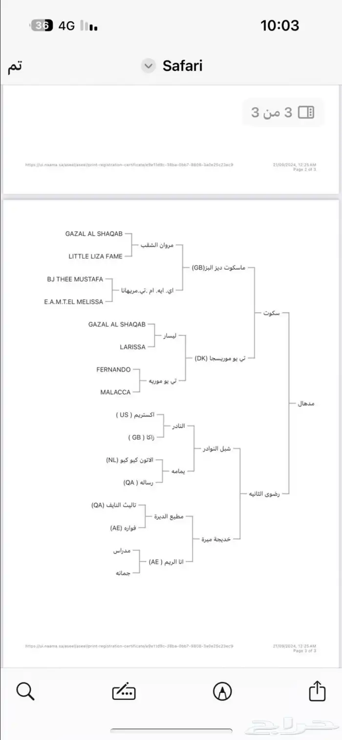 حصان واهو شيخ 7