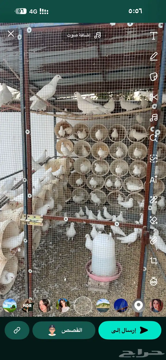 حمام فرنسي حجم جامبو   عشة 3 2 ارتفاع 2م 1