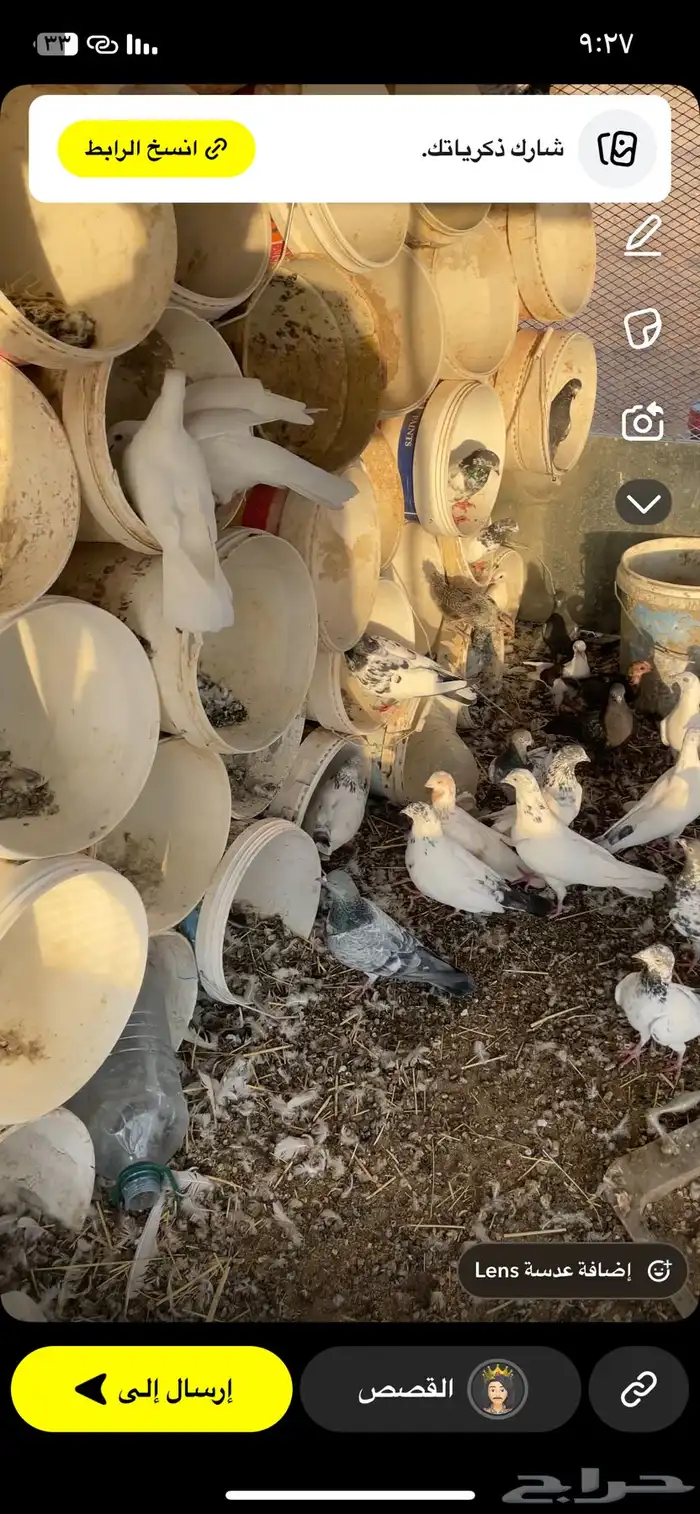 حمام كفو وشرط من المرض المواقع المضه فرنسي وباكستاني وبلدي 9