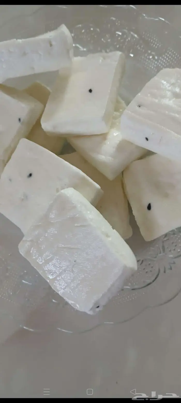 زبدة غنم بلدي 1